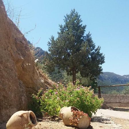 Casa Lucia Campagna Relax Pensionat Dorgali Exteriör bild