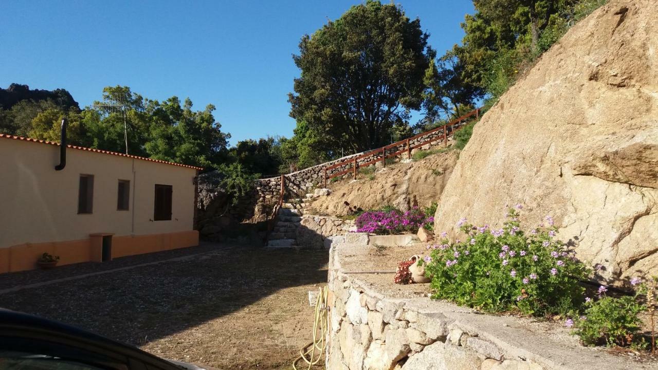 Casa Lucia Campagna Relax Pensionat Dorgali Exteriör bild