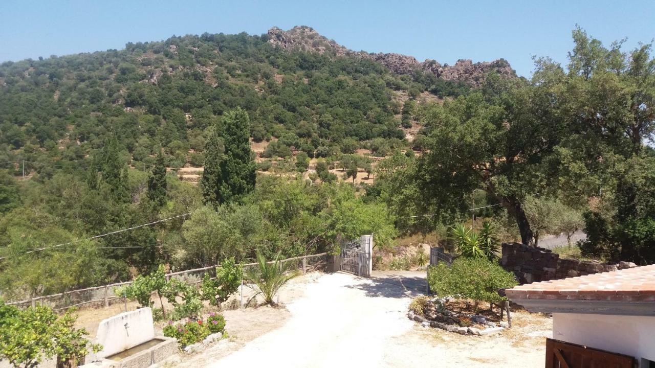 Casa Lucia Campagna Relax Pensionat Dorgali Exteriör bild